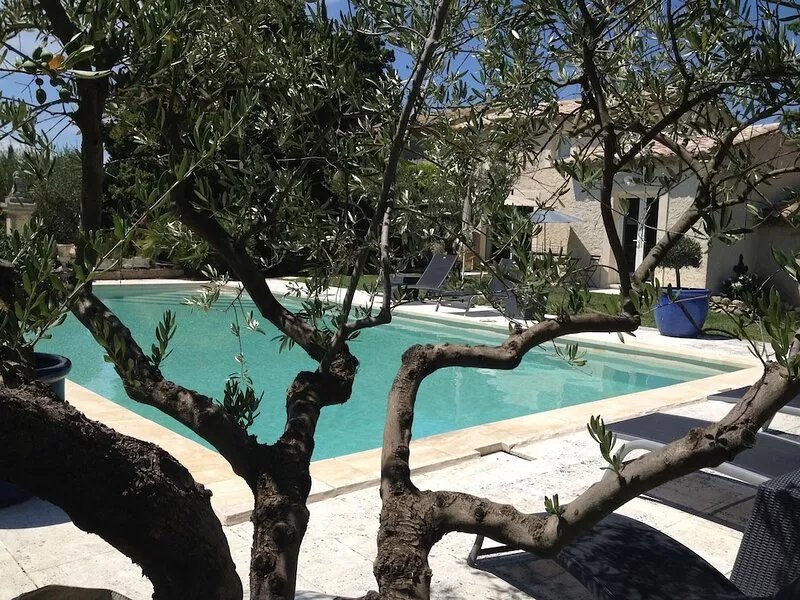 Charming, quiet farmhouse with swimming pool and wooded, secure grounds