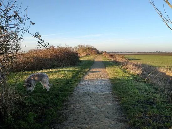 Rings End Nature Reserve