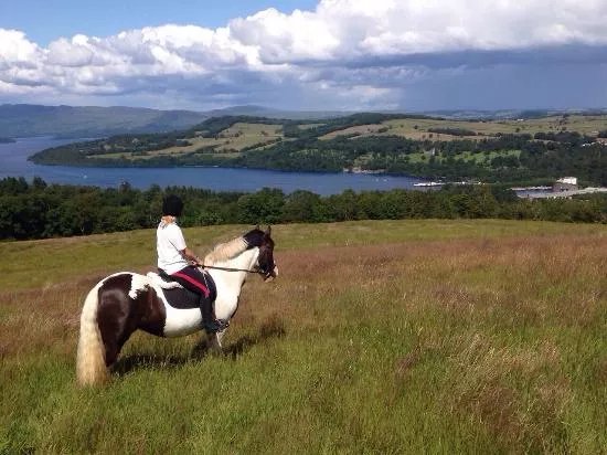 Loch Lomond Pony Trekking