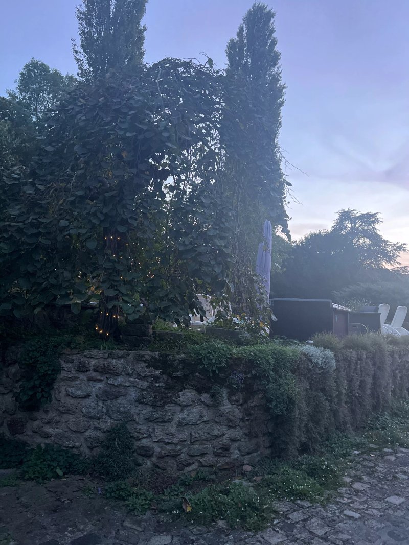 L’Orme Des Voyageurs