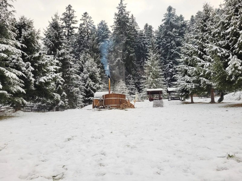 Hotel Floare de Colt Bucovina