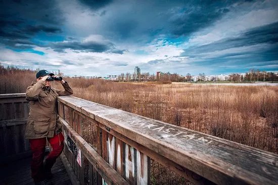 Jarvenpaa Bird Watching Tower