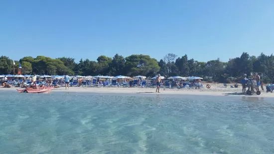 Bravo Porto Pino