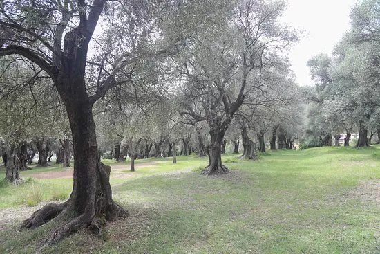Le Parc Du Pian
