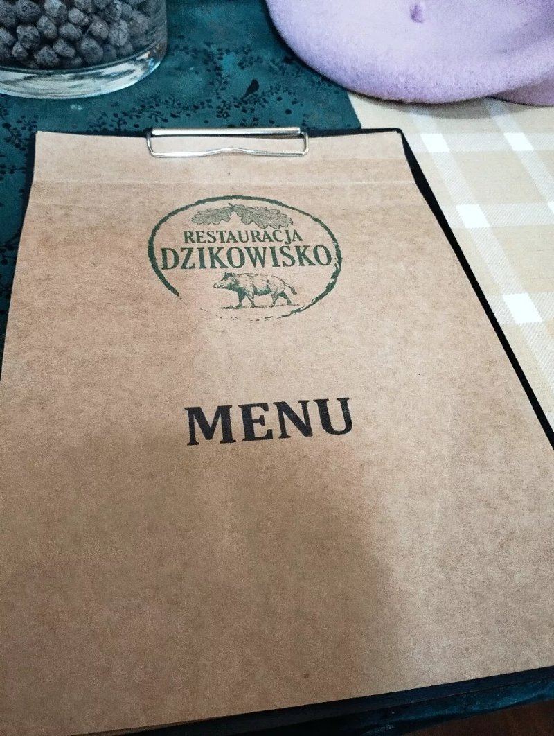 Dzikowisko