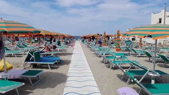 Beach Bruno & Sons