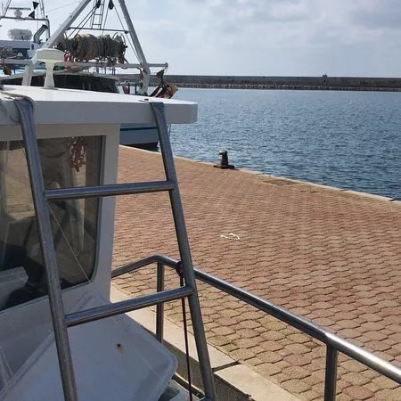 Pesca Turismo il Delfino