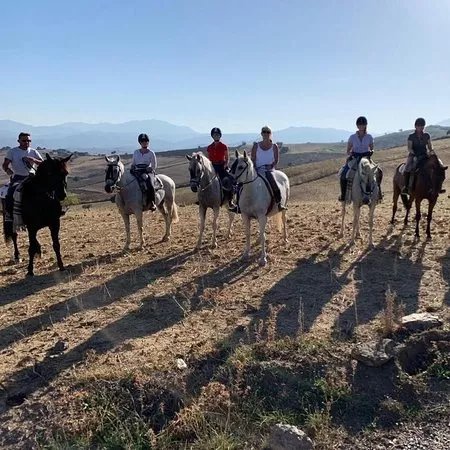 Cortijo el Chenil Caballos