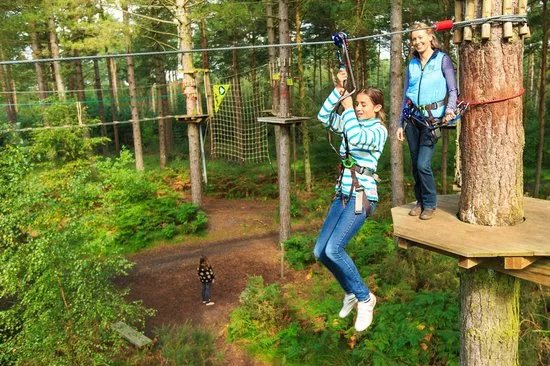 Go Ape Bedgebury