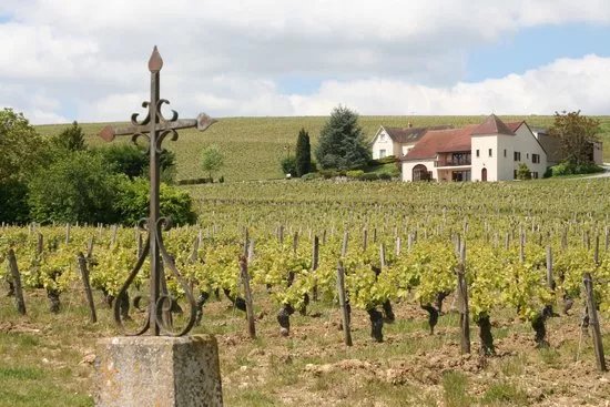 Loire Valley Wine Tour - Day Tours