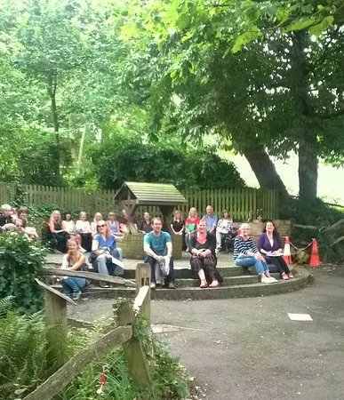Brighton and Sussex Guided Tours