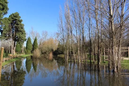 Parque Da Cidade