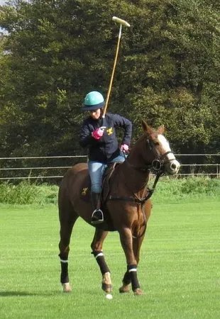 Cowdray Park Polo Club Academy