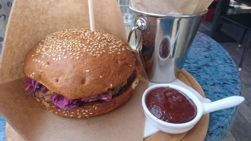 Rychlovka Burgers