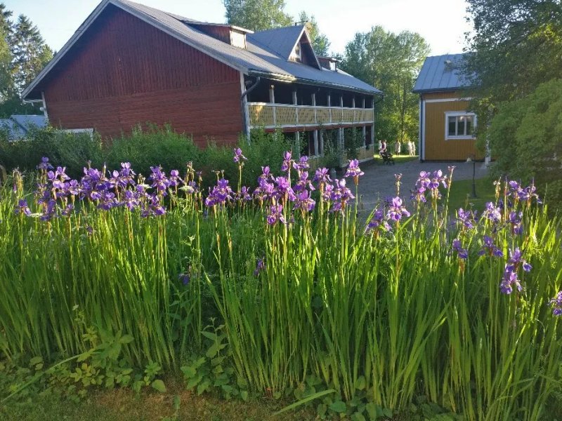 Kauppilan Matkailutila