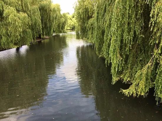 Wardown Park