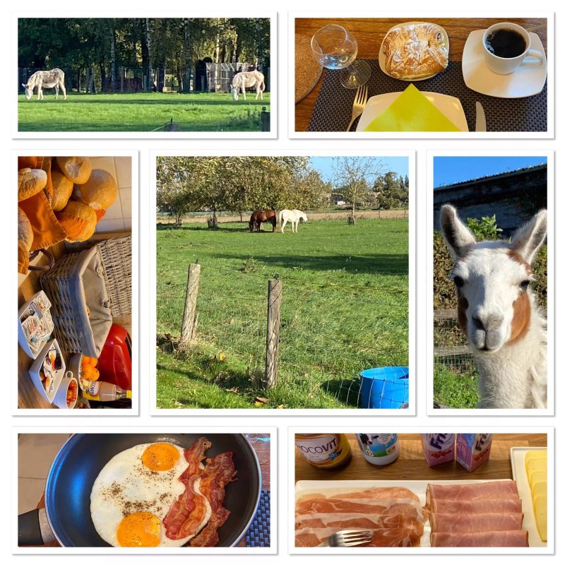 De Pethaan