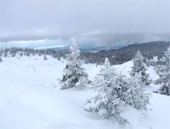 Parc Jura vaudois