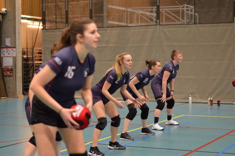 Ghent Wolves Dodgeball Club