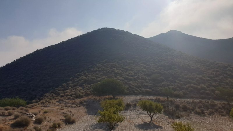 Cabezo de Los Perez