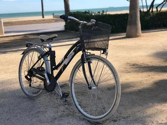 Santa Marcelita Bikes