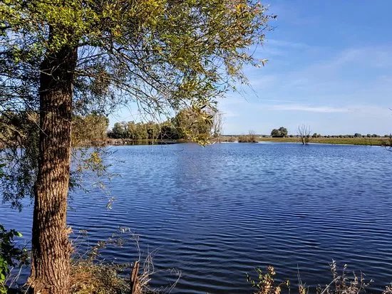Bislicher Insel