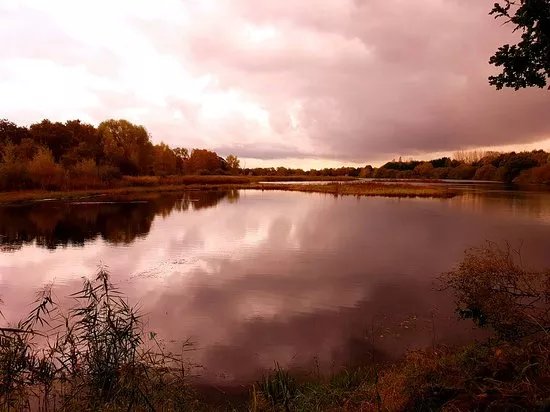 The Natural World Centre, Whisby
