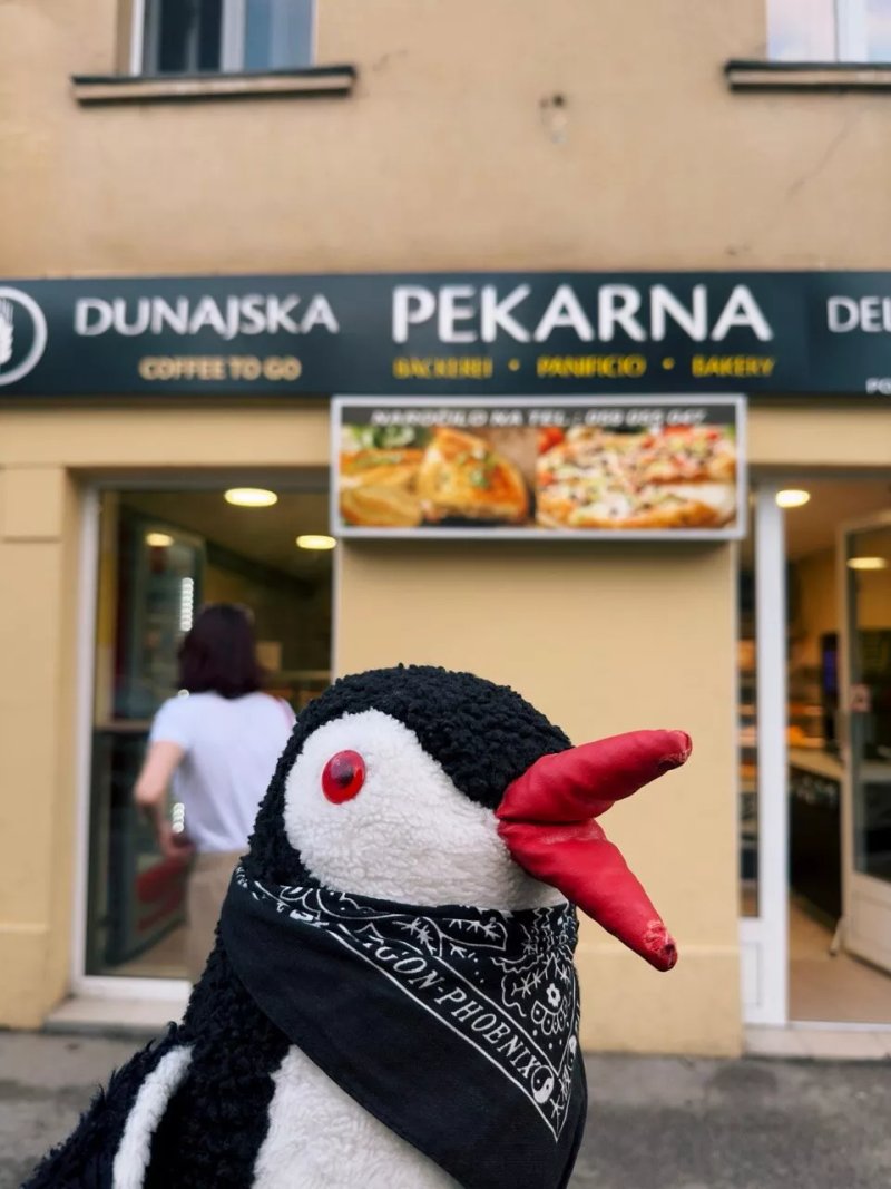 Dunajska Pekarna Loni-pek d.o.o.