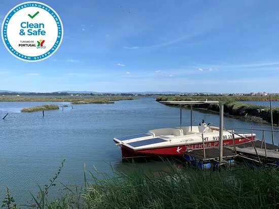 Sterna - Aveiro Ria Tours & Birdwatching