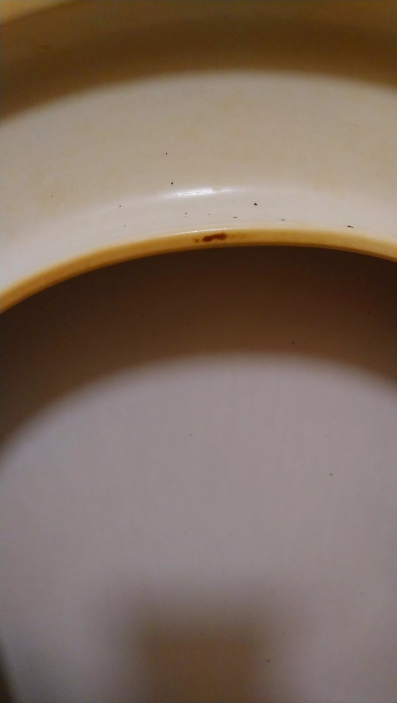 The Tap In