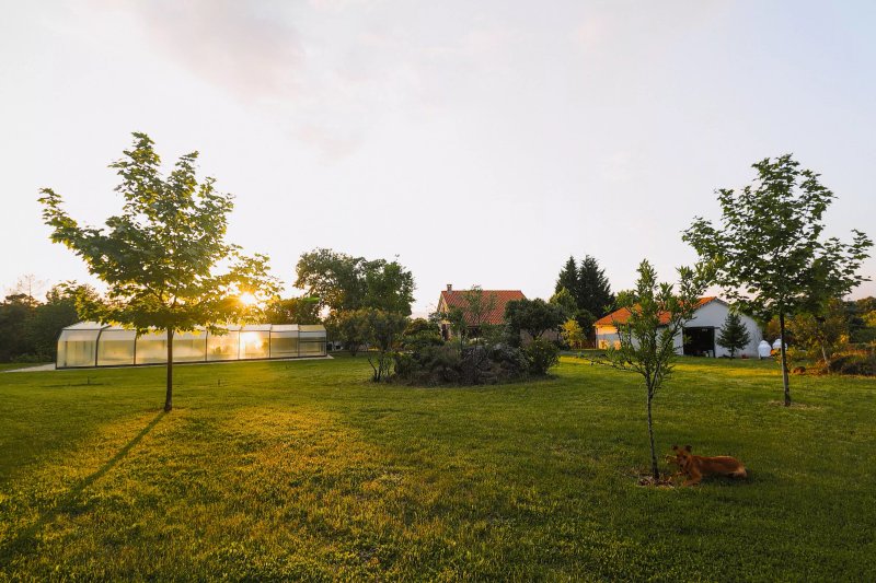 Quinta dos Manteiros