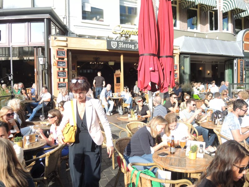 Cafe Camelot