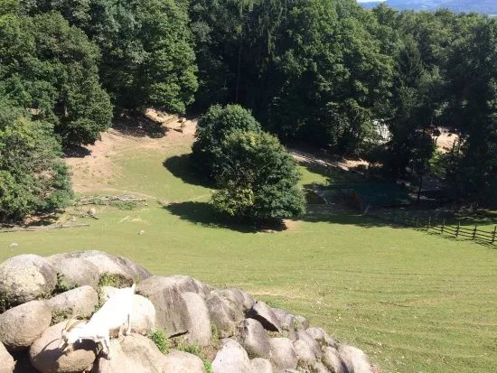 Bergtierpark Fuerth-Erlenbach