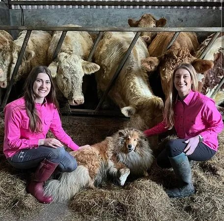Coppenagh House Farm Shop