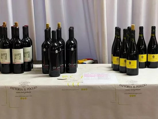 Fattoria Il Poggio