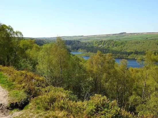 Fox Hagg Nature Reserve