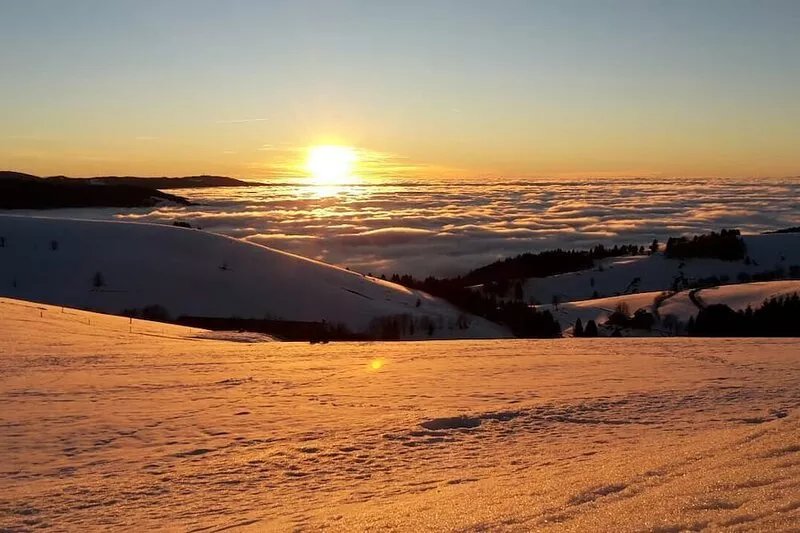 Modern and cosy holiday flat on the Freiburger mountain at Schauinsland