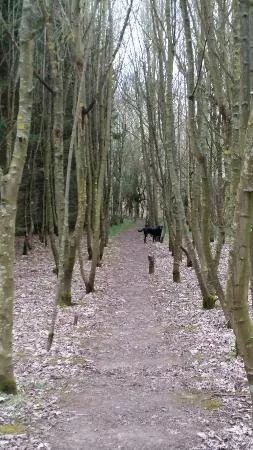 Fosse Meadows Nature Area