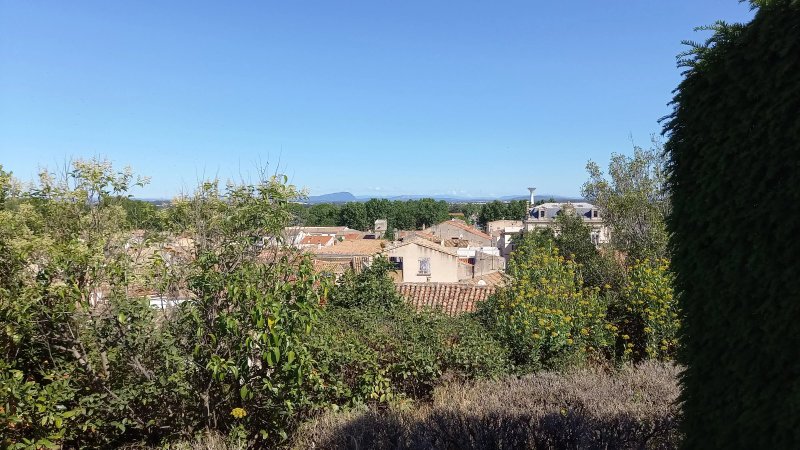 Jardin De La Motte
