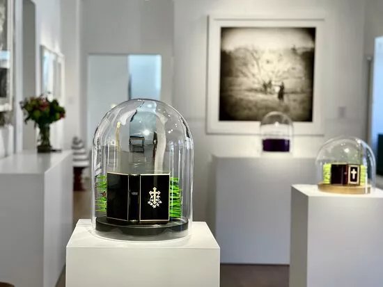 Continuum Gallery, expressive glass & contemporary art