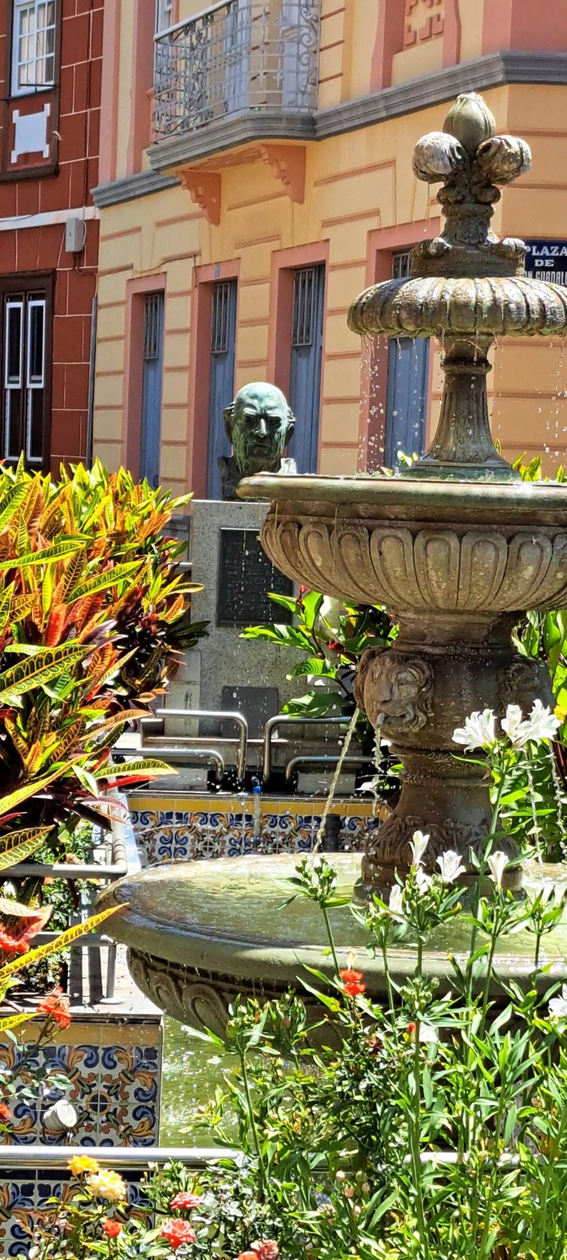 Bust Of Dr. Manuel Morales Perez