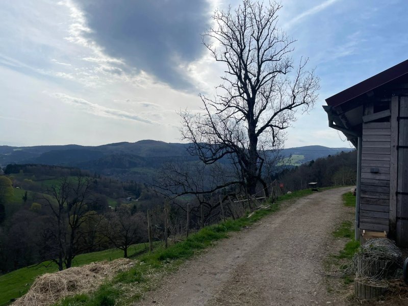 Ferme IM-Berg