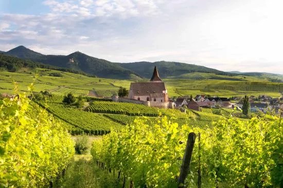 Domaine Mittnacht Freres