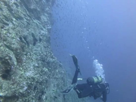 Dive Centre ATLANTIK