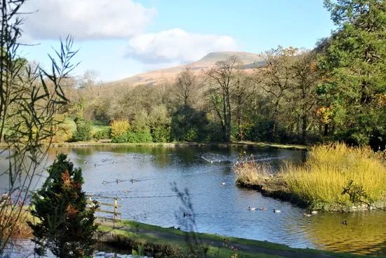 Craig-y-nos Country Park