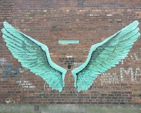 For all Liverpool's Liverbirds