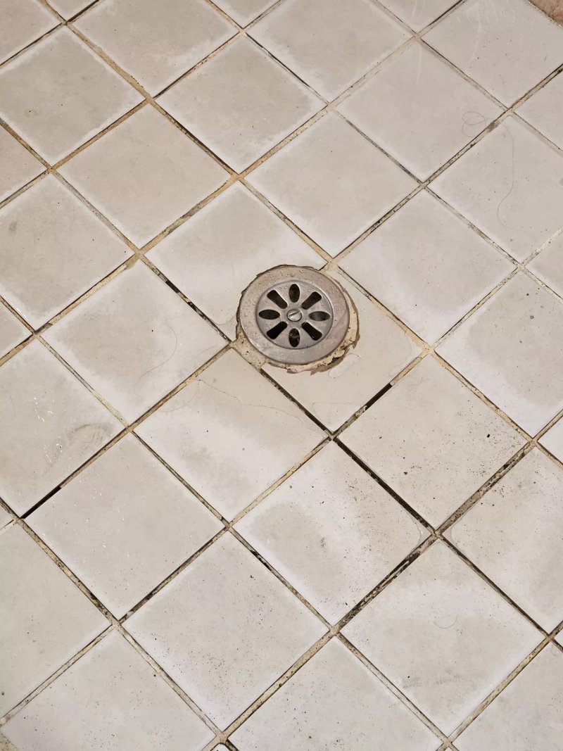 Ancora Romana
