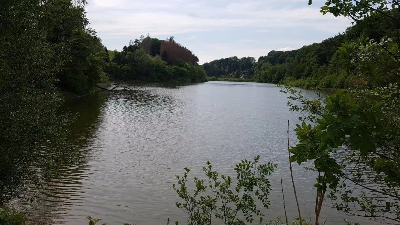 Diepentaler Talsperre