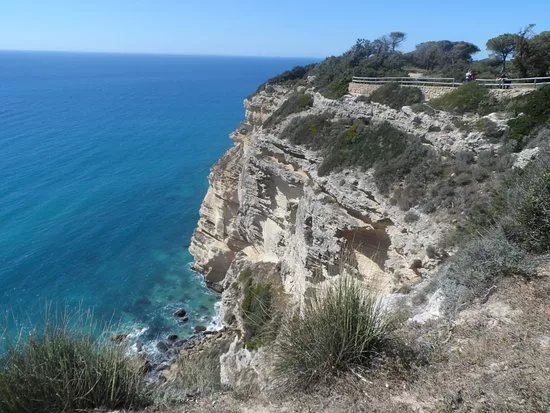 Punto de Informacion Parque Natural La Brena Y Marimas del Barbate