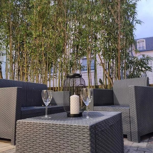 Apt historic center Vannes private courtyard and garage, sleeps 4
